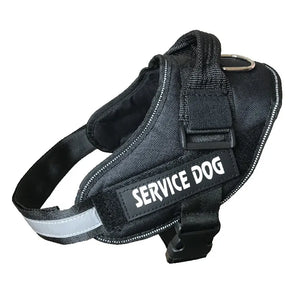 Personalized Dog Harness Id Custom Adjustable Pet Vest