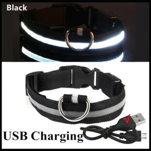 LED Glowing Dog Collar Adjustable Flashing Rechargea